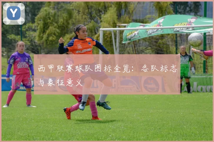 西甲联赛球队图标全览：各队标志与象征意义