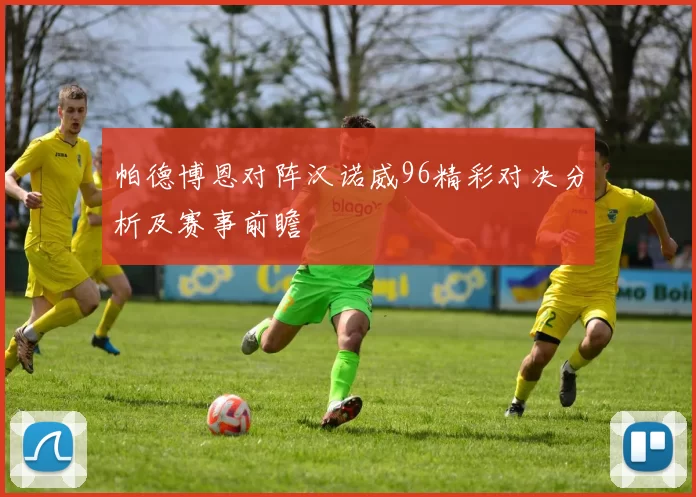 帕德博恩对阵汉诺威96精彩对决分析及赛事前瞻