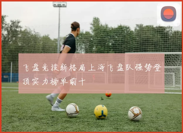 飞盘竞技新格局上海飞盘队强势登顶实力榜单前十