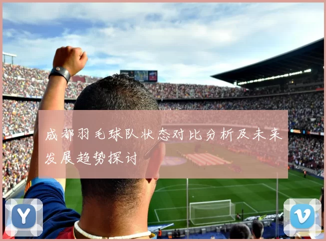 成都羽毛球队状态对比分析及未来发展趋势探讨