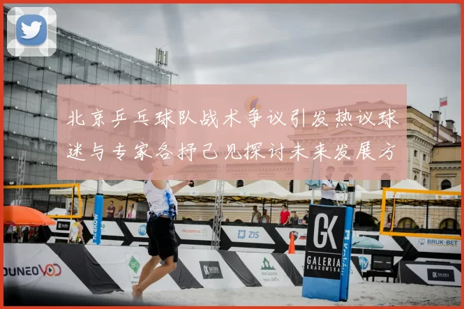 北京乒乓球队战术争议引发热议球迷与专家各抒己见探讨未来发展方向