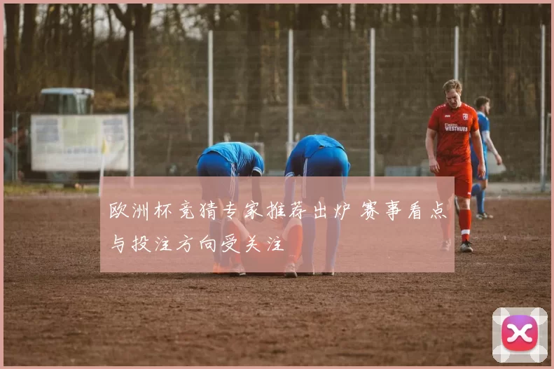 欧洲杯竞猜专家推荐出炉 赛事看点与投注方向受关注