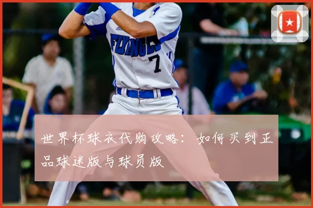 世界杯球衣代购攻略：如何买到正品球迷版与球员版