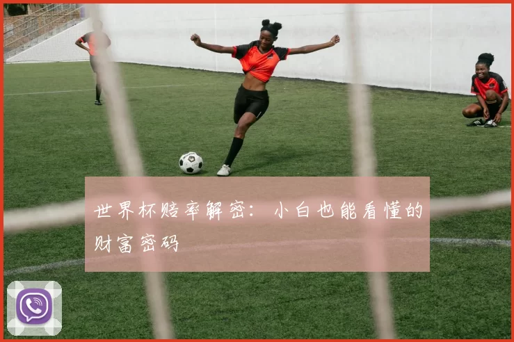 世界杯赔率解密：小白也能看懂的财富密码