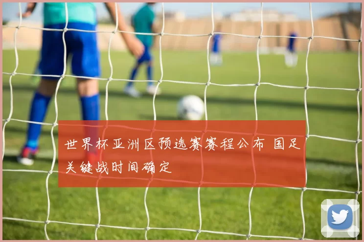世界杯亚洲区预选赛赛程公布 国足关键战时间确定