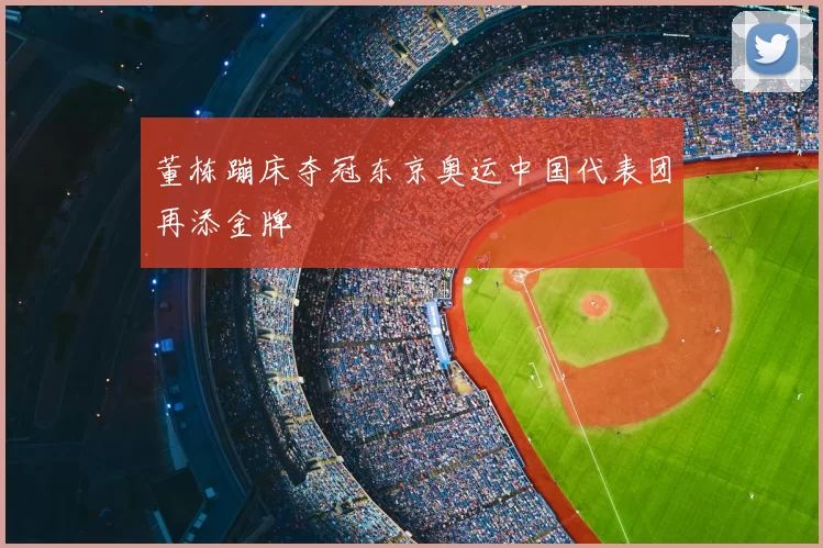 董栋蹦床夺冠东京奥运中国代表团再添金牌
